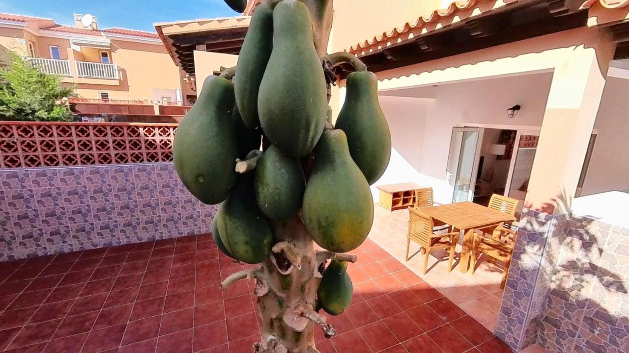 La Casa De La Papaya, By Comfortable Luxury Corralejo Exterior foto